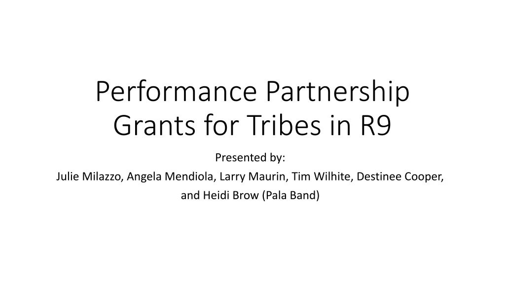 performance partnership grants for tribes in r9