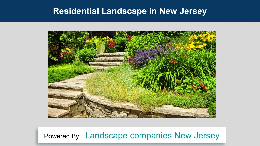 residential landscape in new jersey