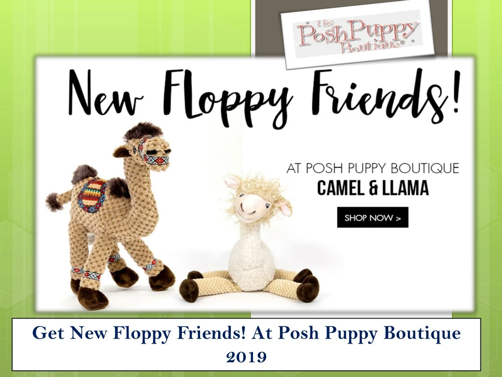 get new floppy friends at posh puppy boutique 2019