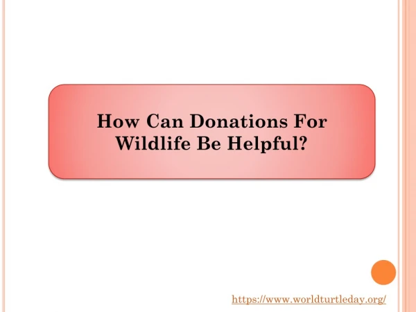 How Can Donations For Wildlife Be Helpful?
