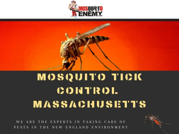 Mosquito Control Service MA