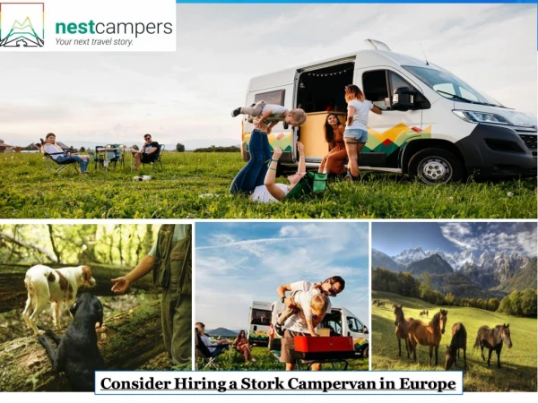 Consider Hiring a Stork Campervan in Europe
