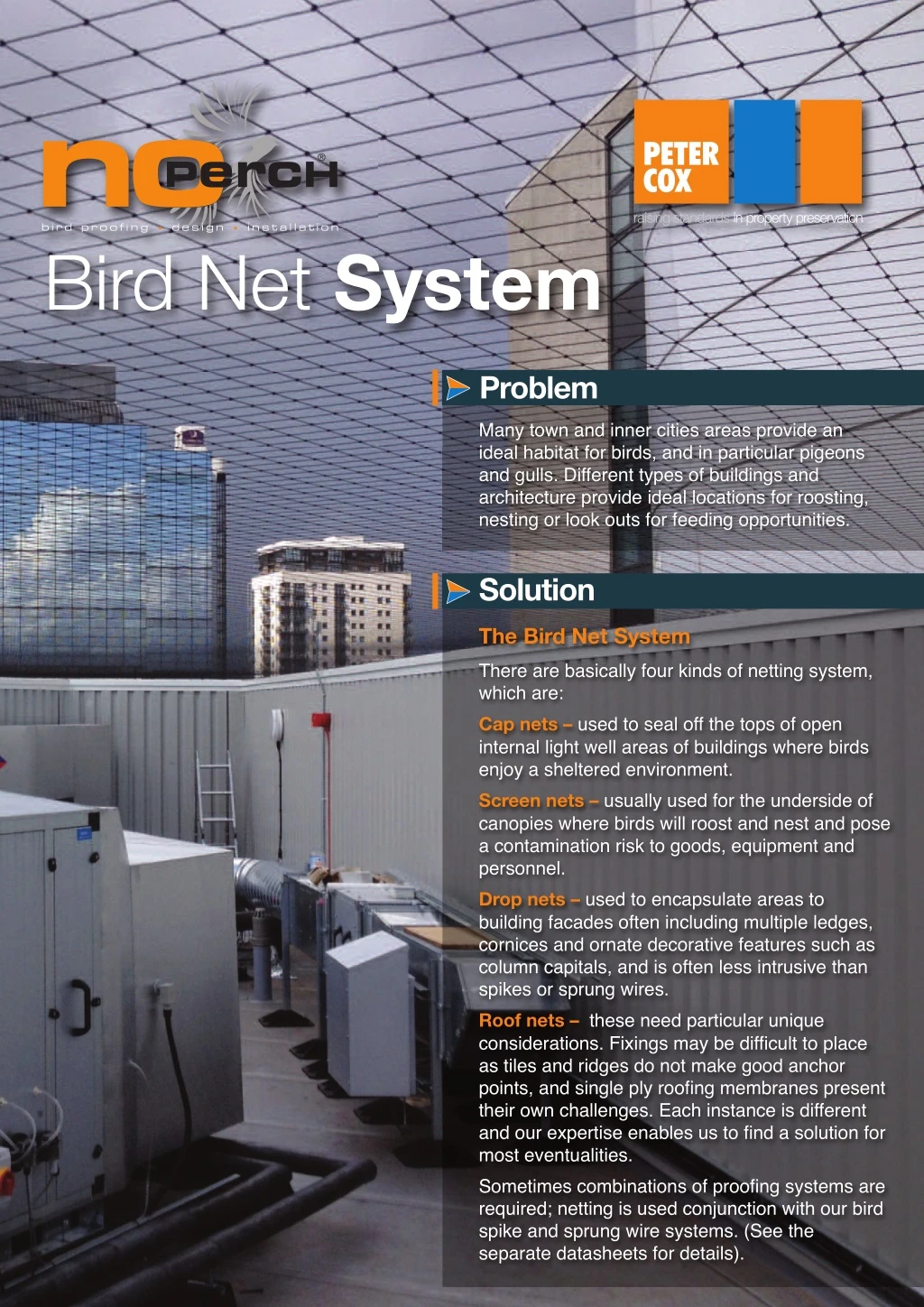 bird net system