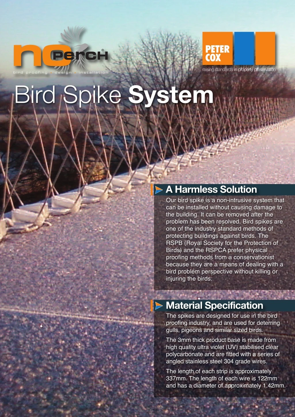 bird spike system