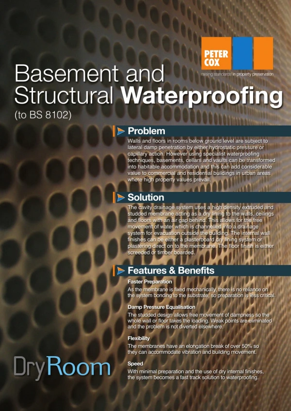 Peter Cox - Dryroom Basement Waterproofing
