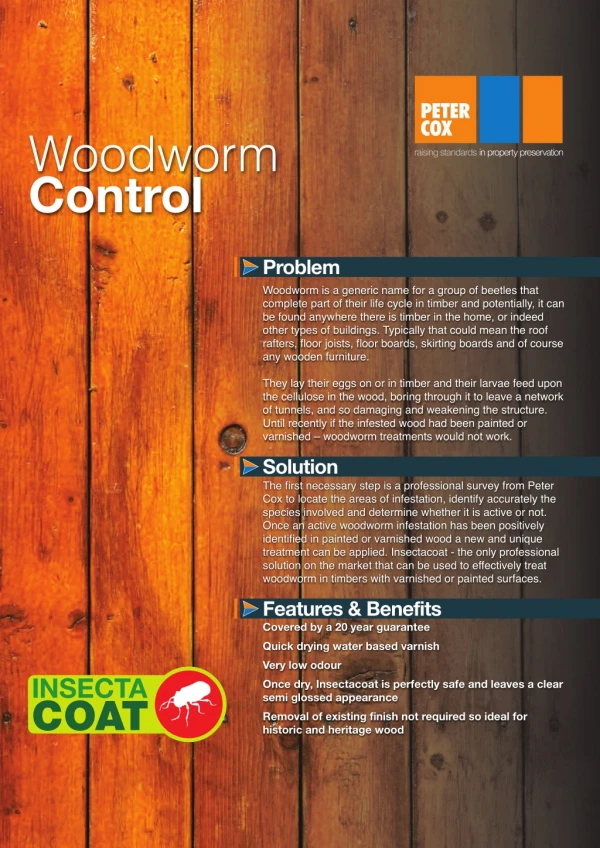 Peter Cox - Insectacoat Woodworm Treatment
