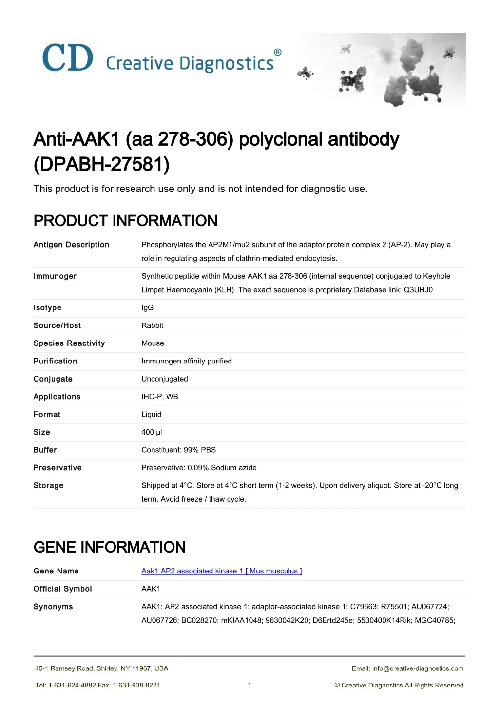 anti aak1 aa 278 306 polyclonal antibody anti