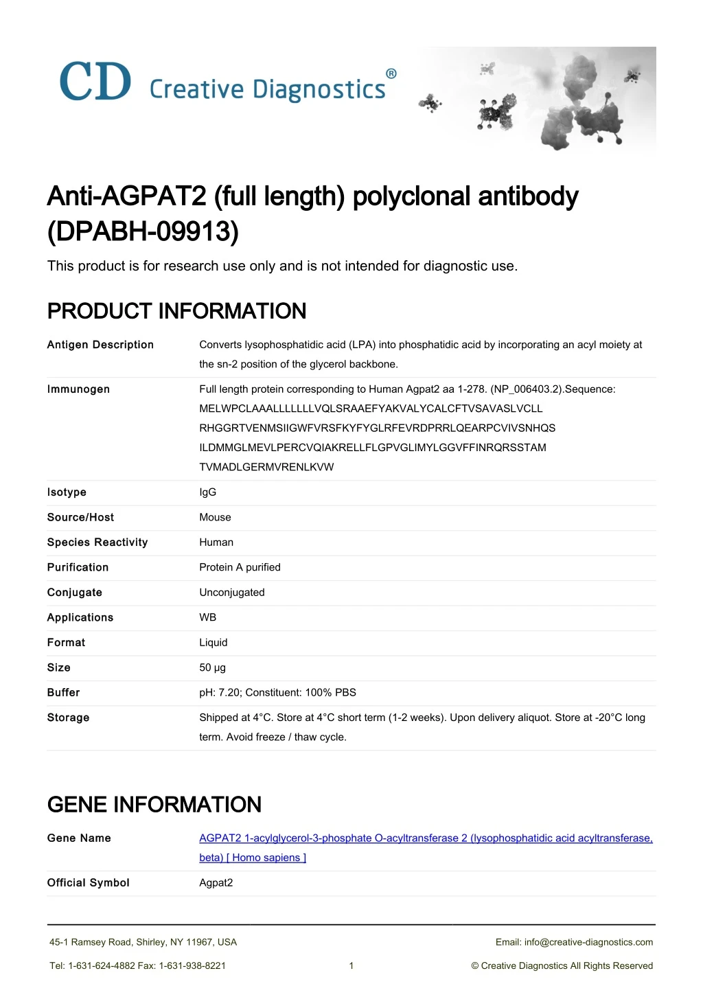 anti agpat2 full length polyclonal antibody anti