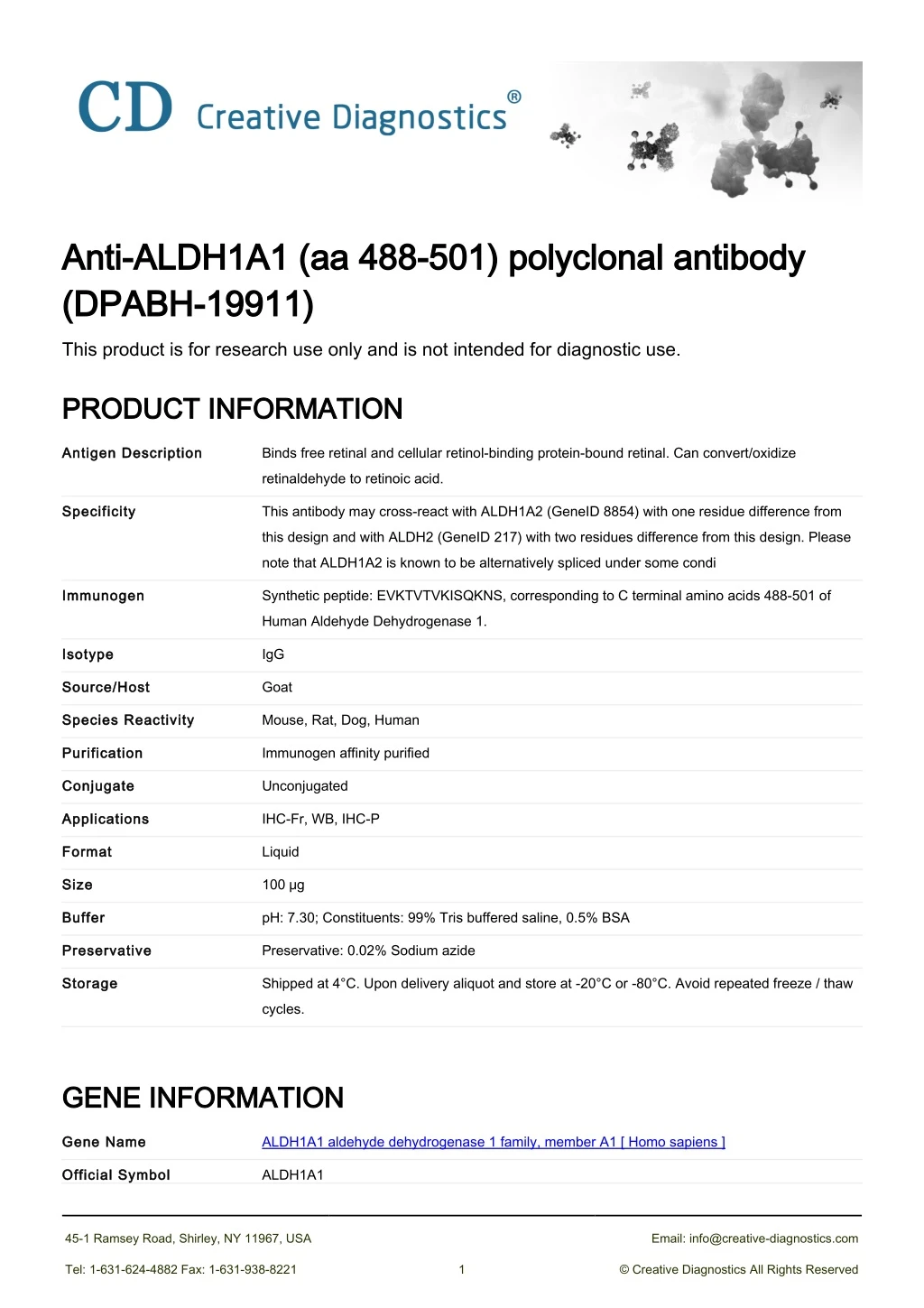 anti aldh1a1 aa 488 501 polyclonal antibody anti
