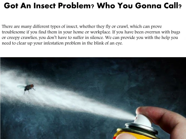 Got An Insect Problem? Who You Gonna Call?