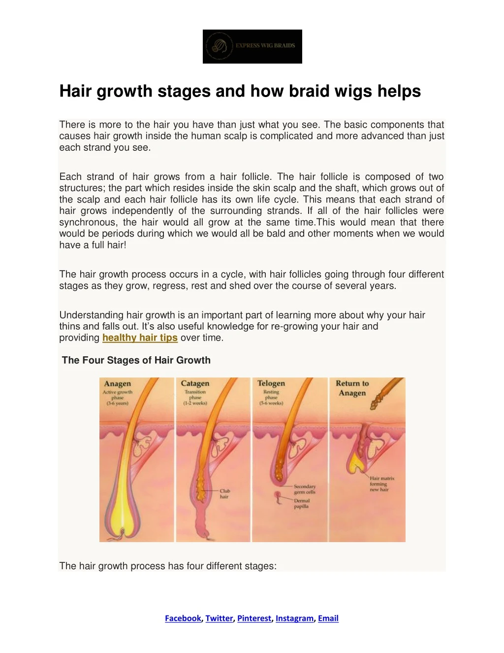 hair growth stages and how braid wigs helps