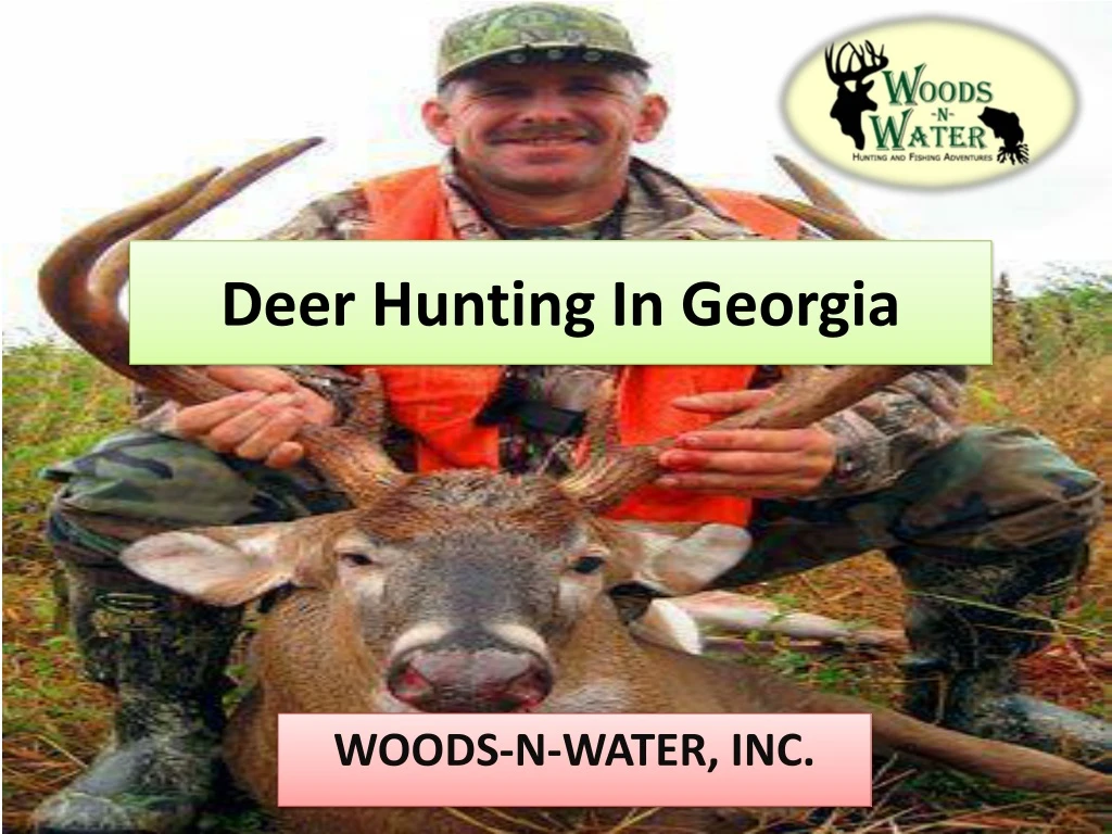 deer hunting in georgia