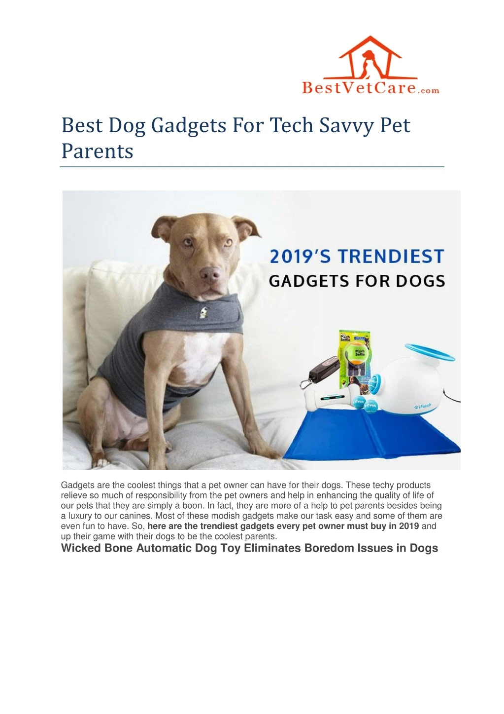 best dog gadgets for tech savvy pet parents