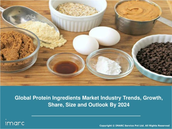 Protein Ingredients Market value is projected to reach US$ 44.9 Billion by 2024`