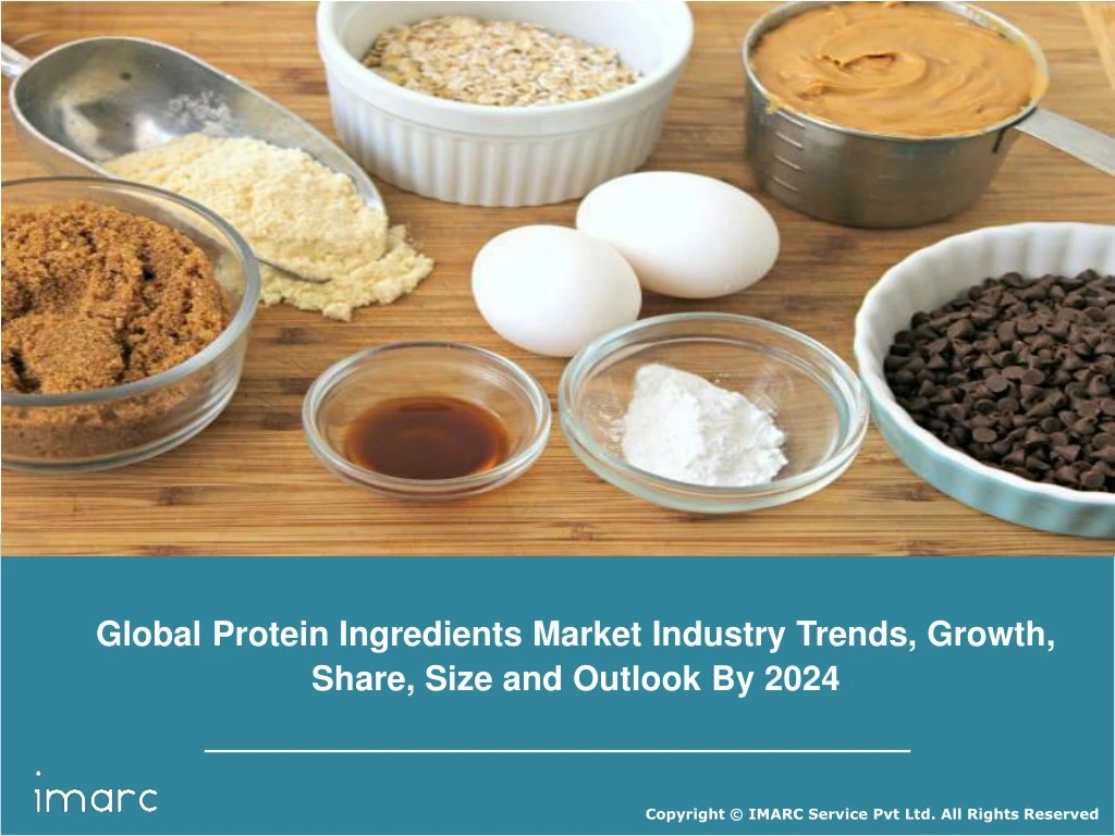 global protein ingredients market industry trends