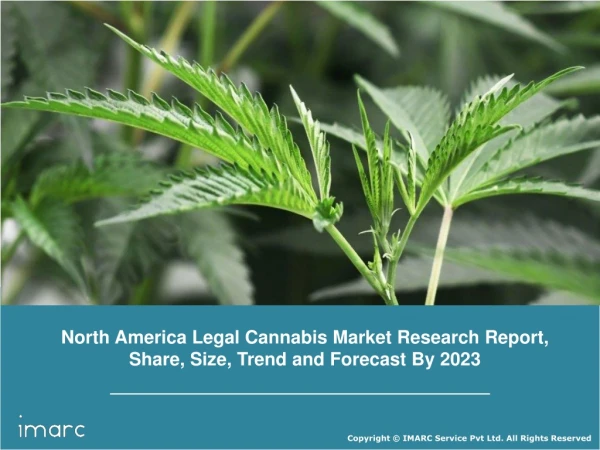 North America Legal Cannabis Market Report, Industry Growth, Share,Size, Region and Forecast Till 2023