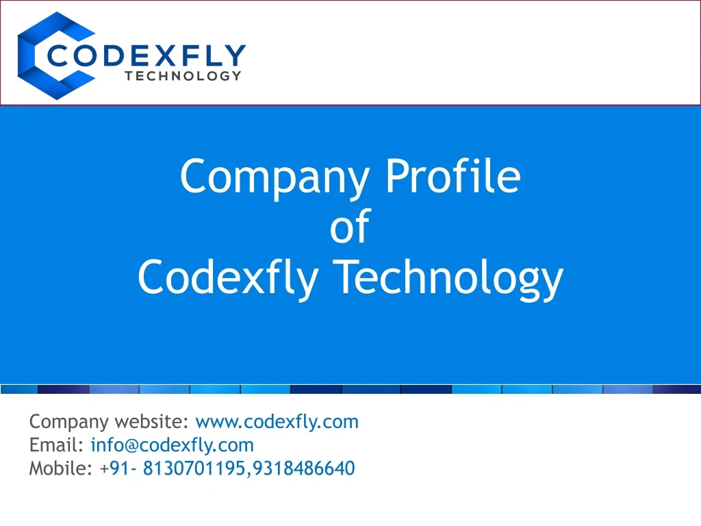 company profile of codexfly technology