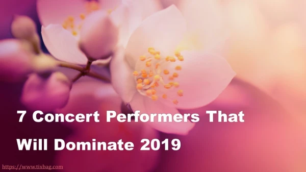 7 Concert Performers That Will Dominate 2019 | TixBag