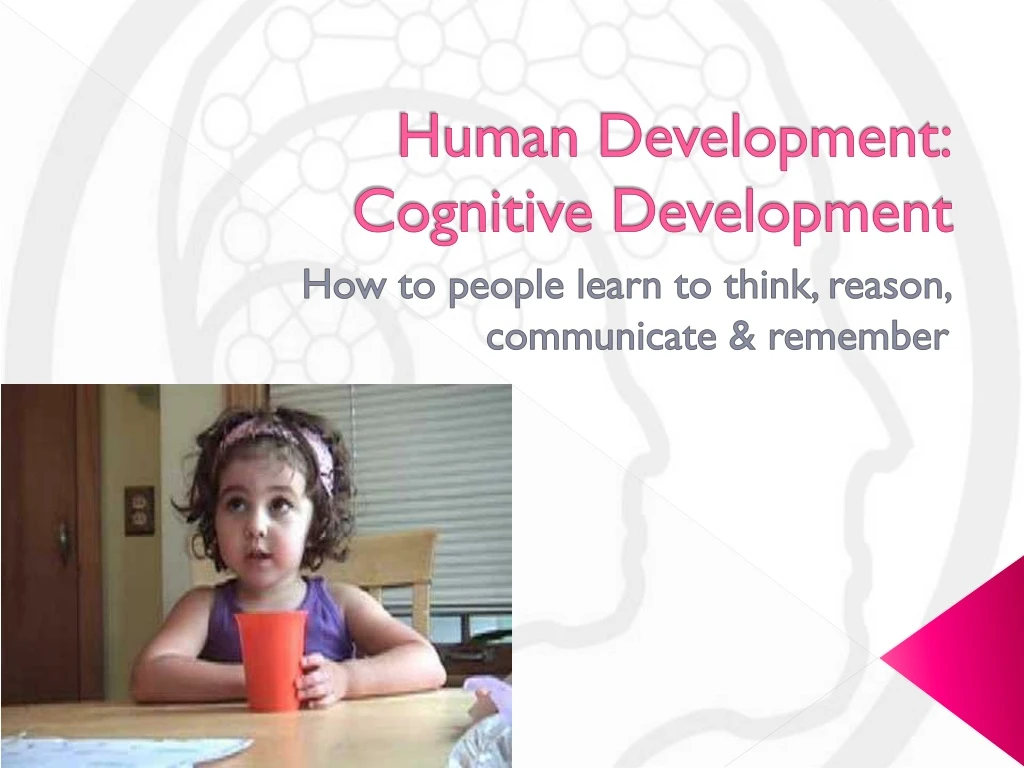human development cognitive development