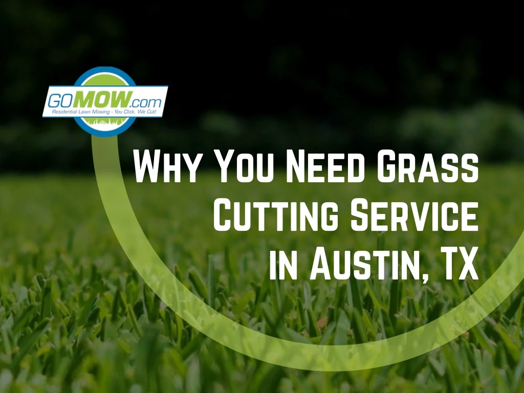 why you need grass cutting service in austin tx