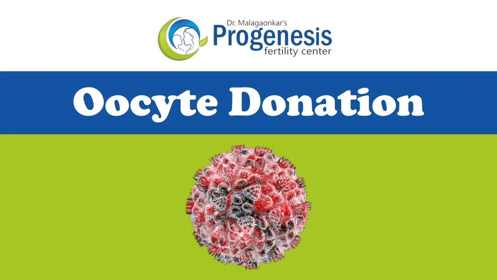 oocyte donation