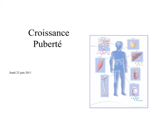 Croissance Pubert