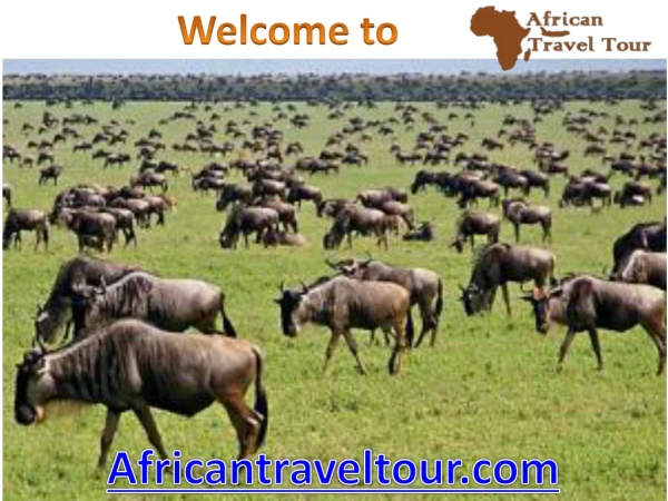 Engaruka Cultural Tours and Packages