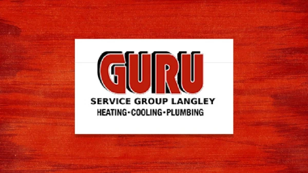 Tankless Hot Water Heater Replacement- Guru Service Group Langley