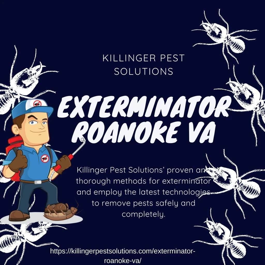 killinger pest solutions