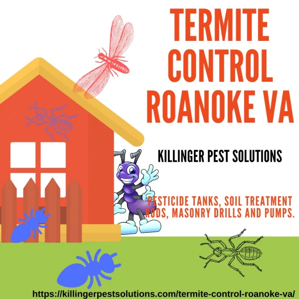 Termite Control Roanoke VA | Killinger Pest Solutions