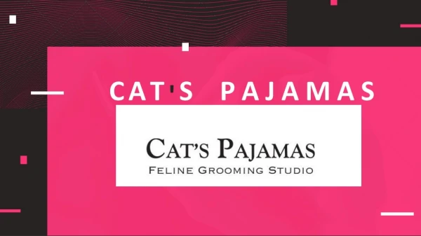 Cat Pajamas Grooming Studio Ottawa