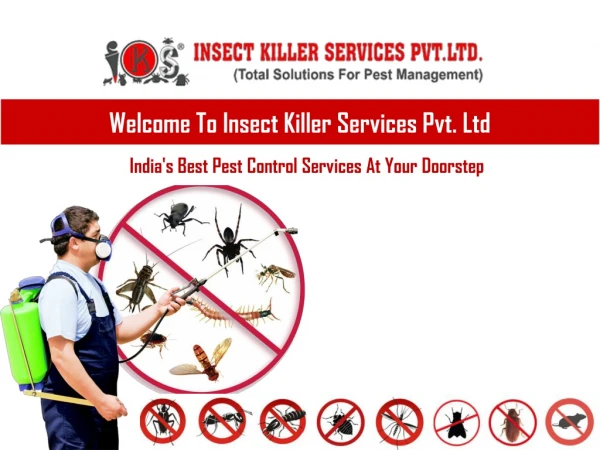 Get Rid Of Pest Now !!
