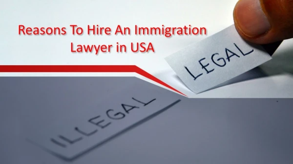 Reasons to Hire An Immigration Lawyer in USA