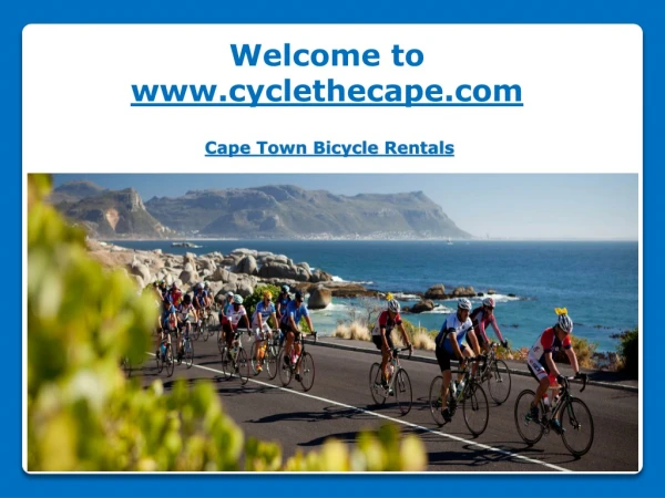 Cape Town Bicycle Rentals