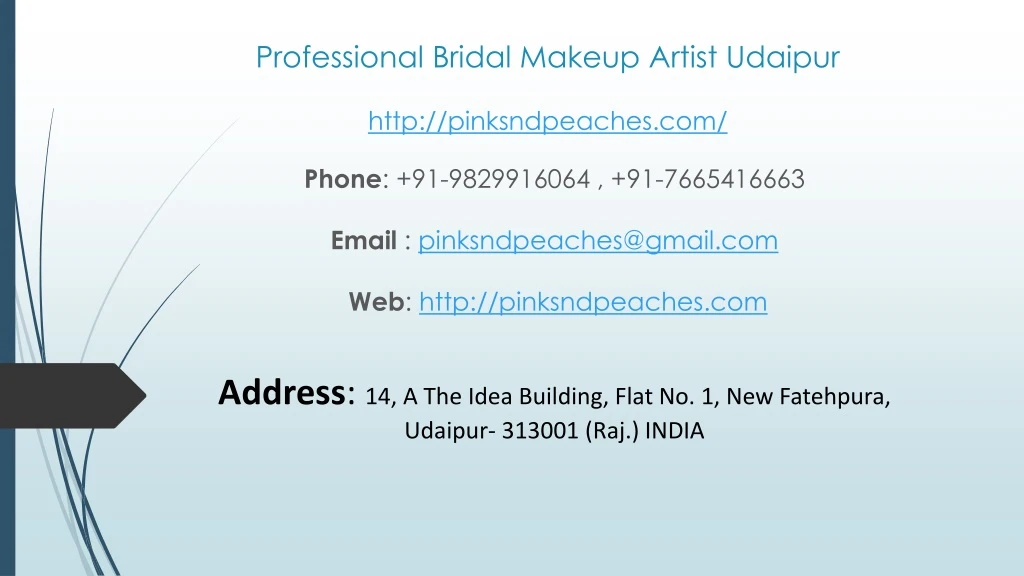 professional bridal makeup artist udaipur http pinksndpeaches com