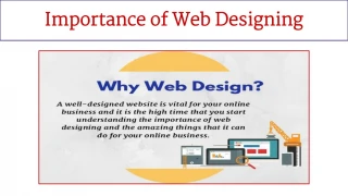 Importance of Web Designing - slide 1
