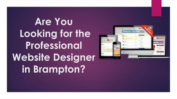 Find the Professional Website Designer in Brampton