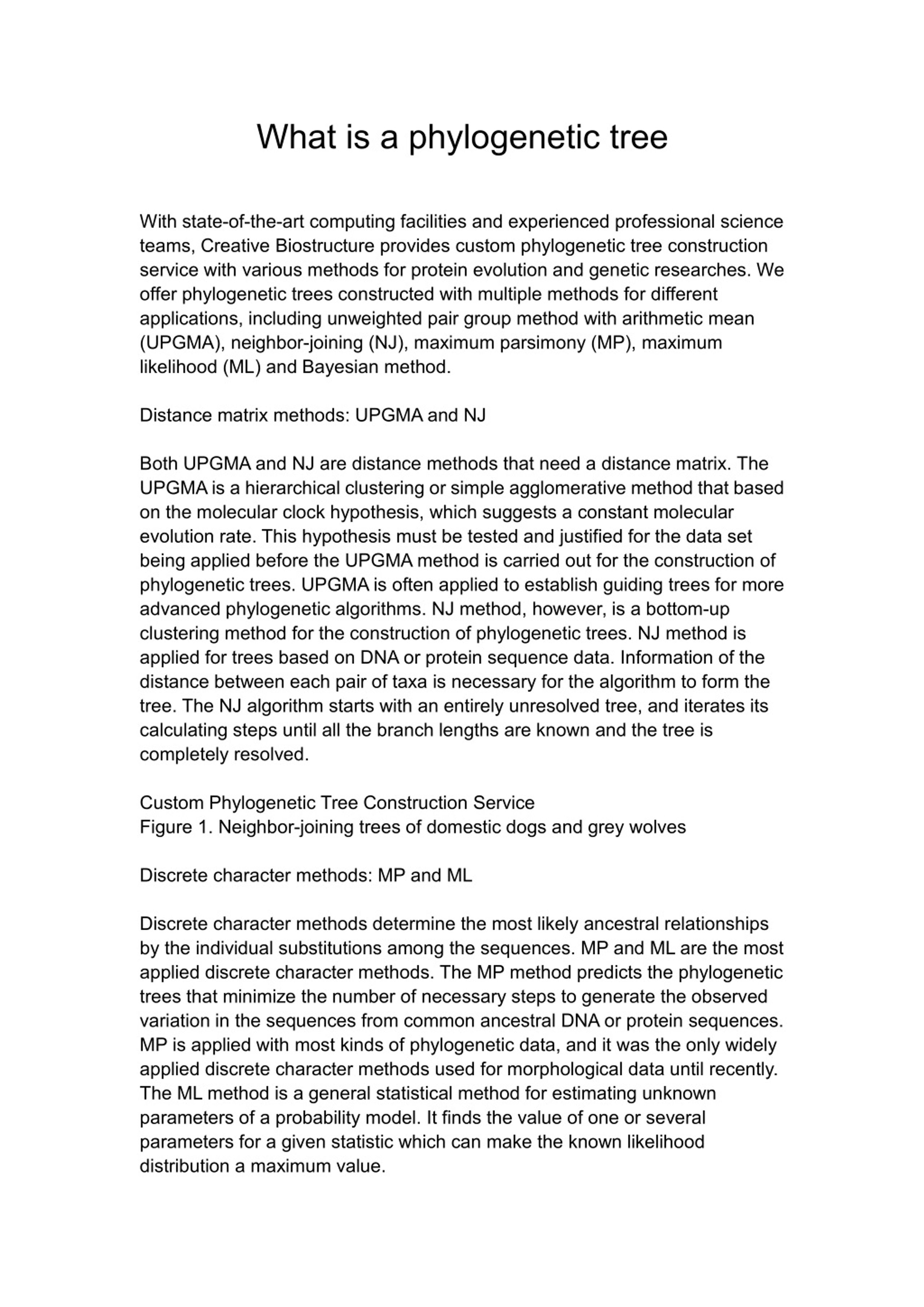 PPT - what is a phylogenetic tree PowerPoint Presentation, free ...