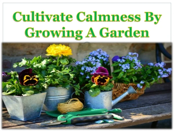 Cultivate Calmness By Growing A Garden
