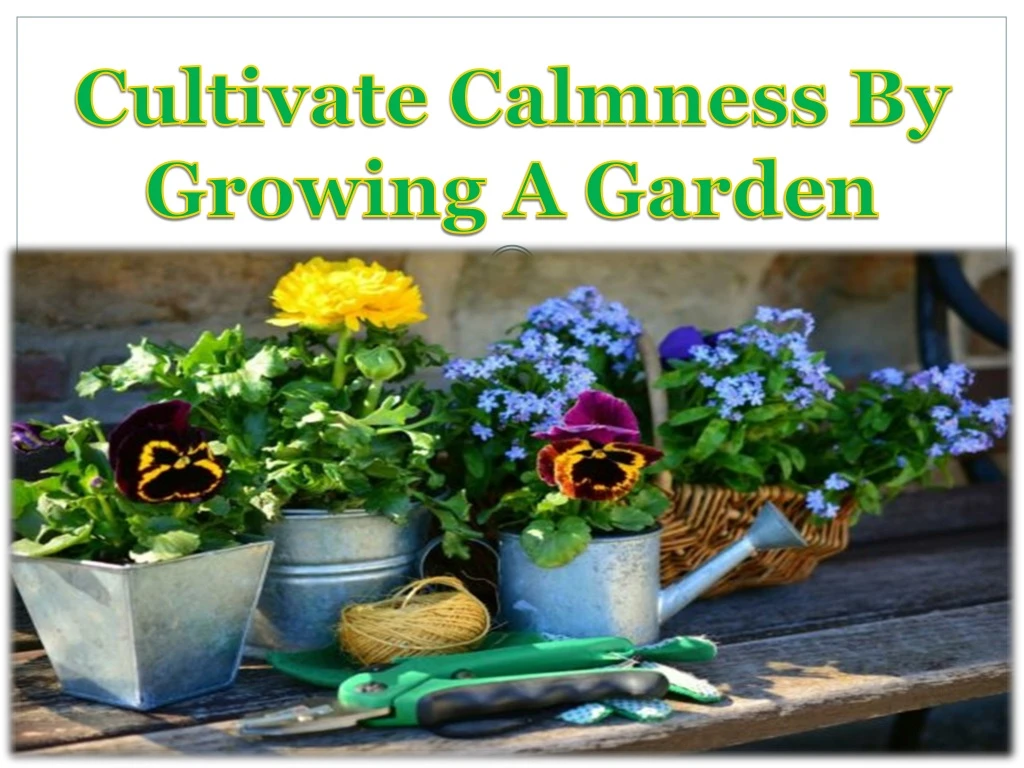 cultivate calmness by growing a garden