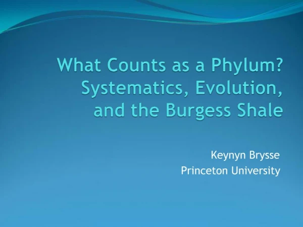 What Counts as a Phylum Systematics, Evolution, and the Burgess Shale