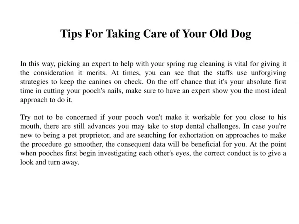 Tips For Taking Care of Your Old Dog