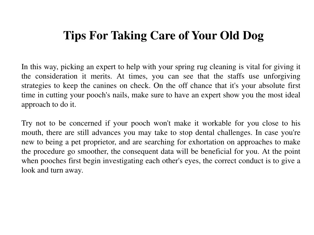 tips for taking care of your old dog