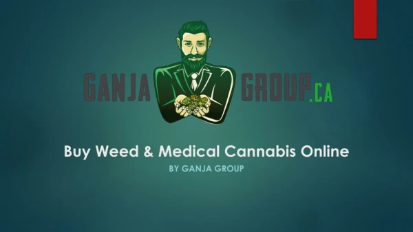 Buy Weed Medical Cannabis - Ganja Group