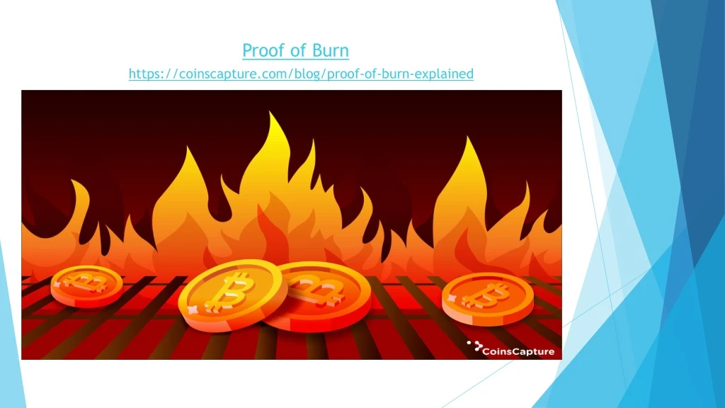 proof of burn https coinscapture com blog proof of burn explained