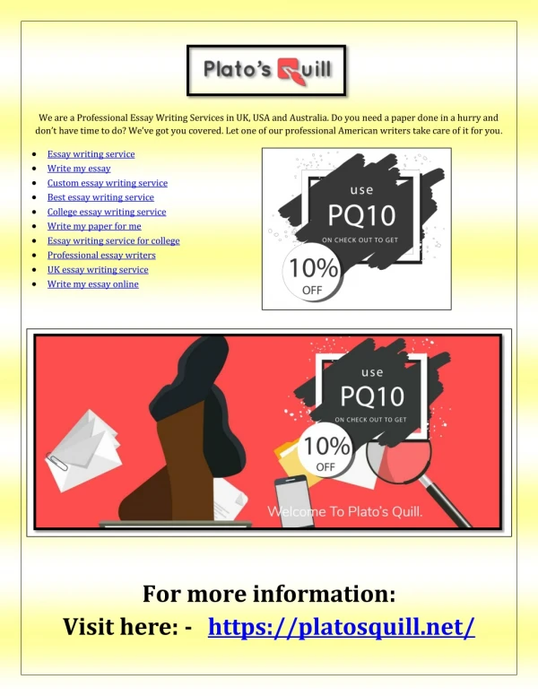 we are a professional essay writing services