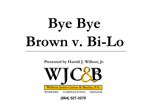 Bye Bye Brown v. Bi-Lo Presented by Harold J. Willson, Jr.