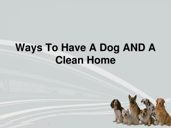 Ways To Have A Dog And A Clean Home