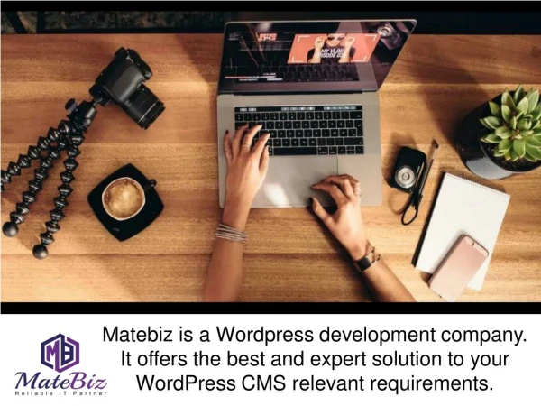 Hire Wordpress Developers For Offshore Web Development