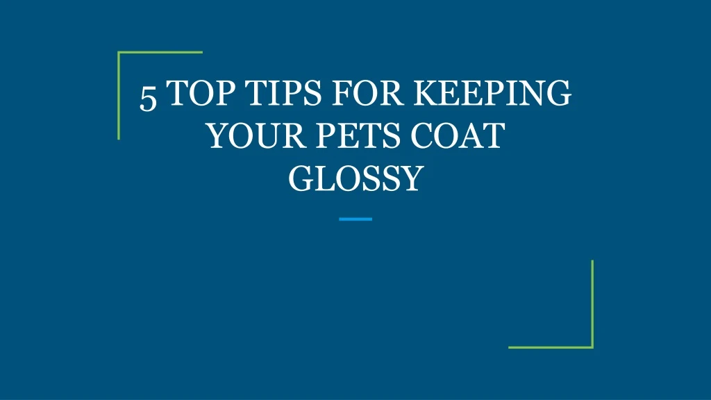 5 top tips for keeping your pets coat glossy